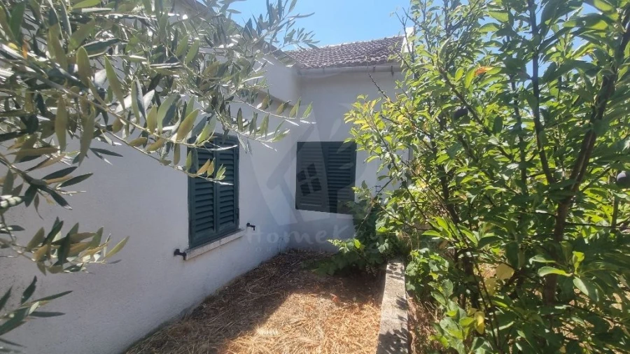 Moradia T2 para Venda em Sobreira Formosa e Alvito da Beira Foto 33