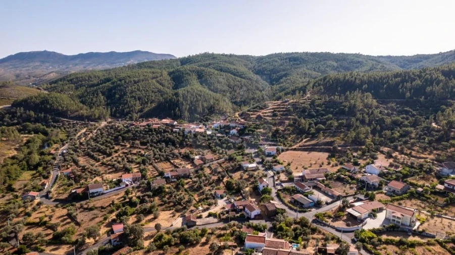 Moradia T2 para Venda em Sobreira Formosa e Alvito da Beira Foto 63