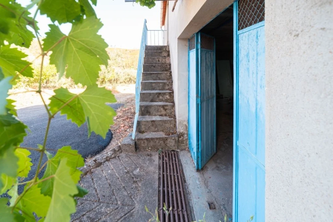 Moradia T2 para Venda em Sobreira Formosa e Alvito da Beira Foto 48