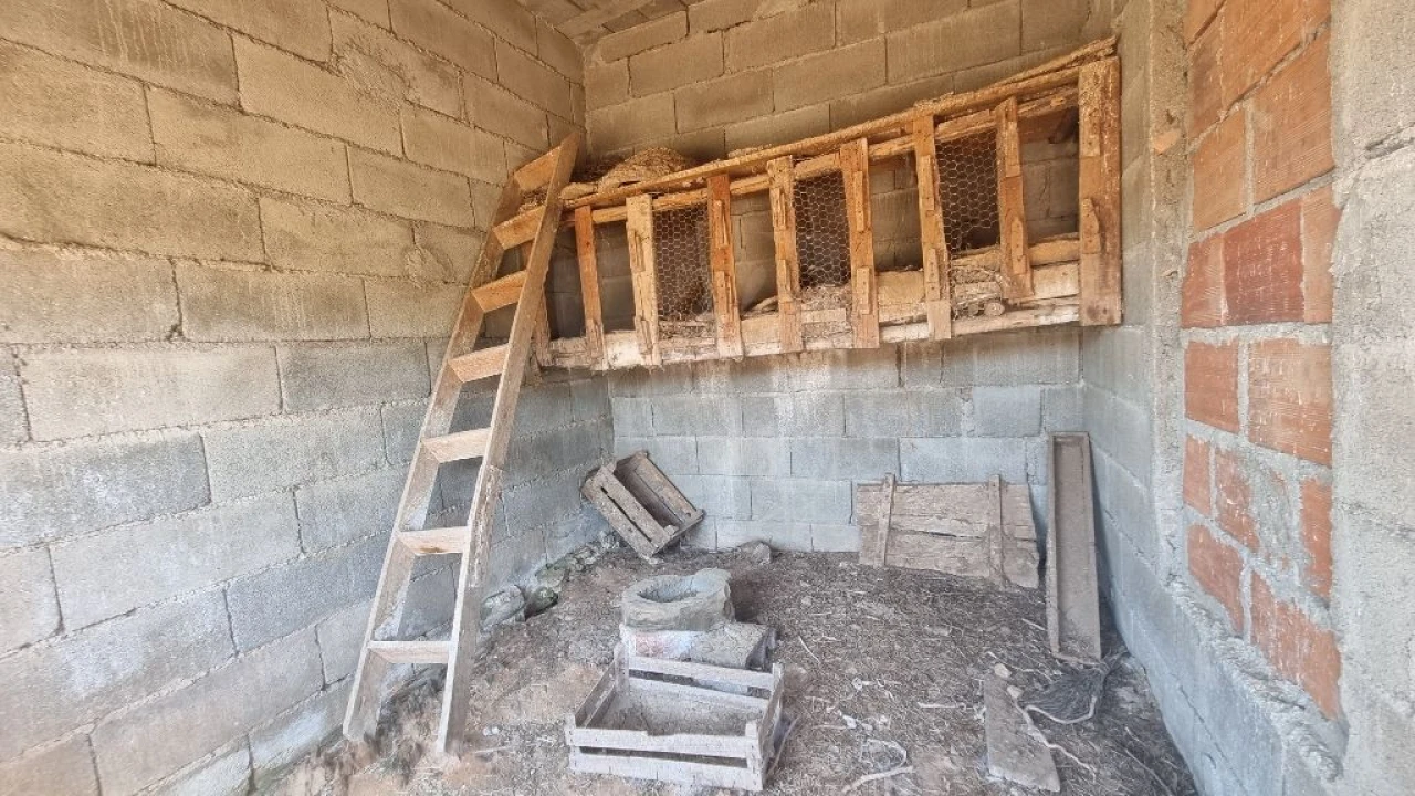 Moradia T2 para Venda em Sobreira Formosa e Alvito da Beira Foto 39