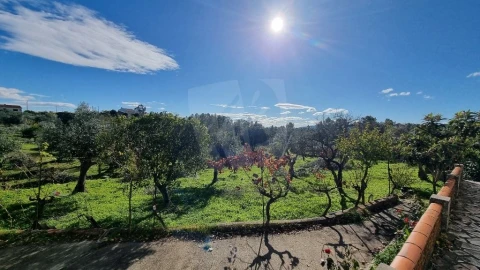 Quinta T4 para Venda em Santo Andre das Tojeiras