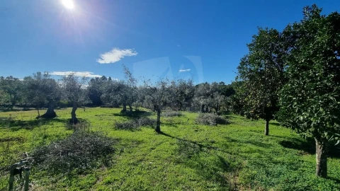 Quinta T4 para Venda em Santo Andre das Tojeiras