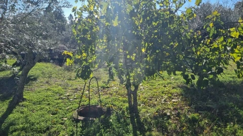 Quinta T4 para Venda em Santo Andre das Tojeiras