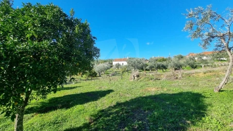 Quinta T4 para Venda em Santo Andre das Tojeiras