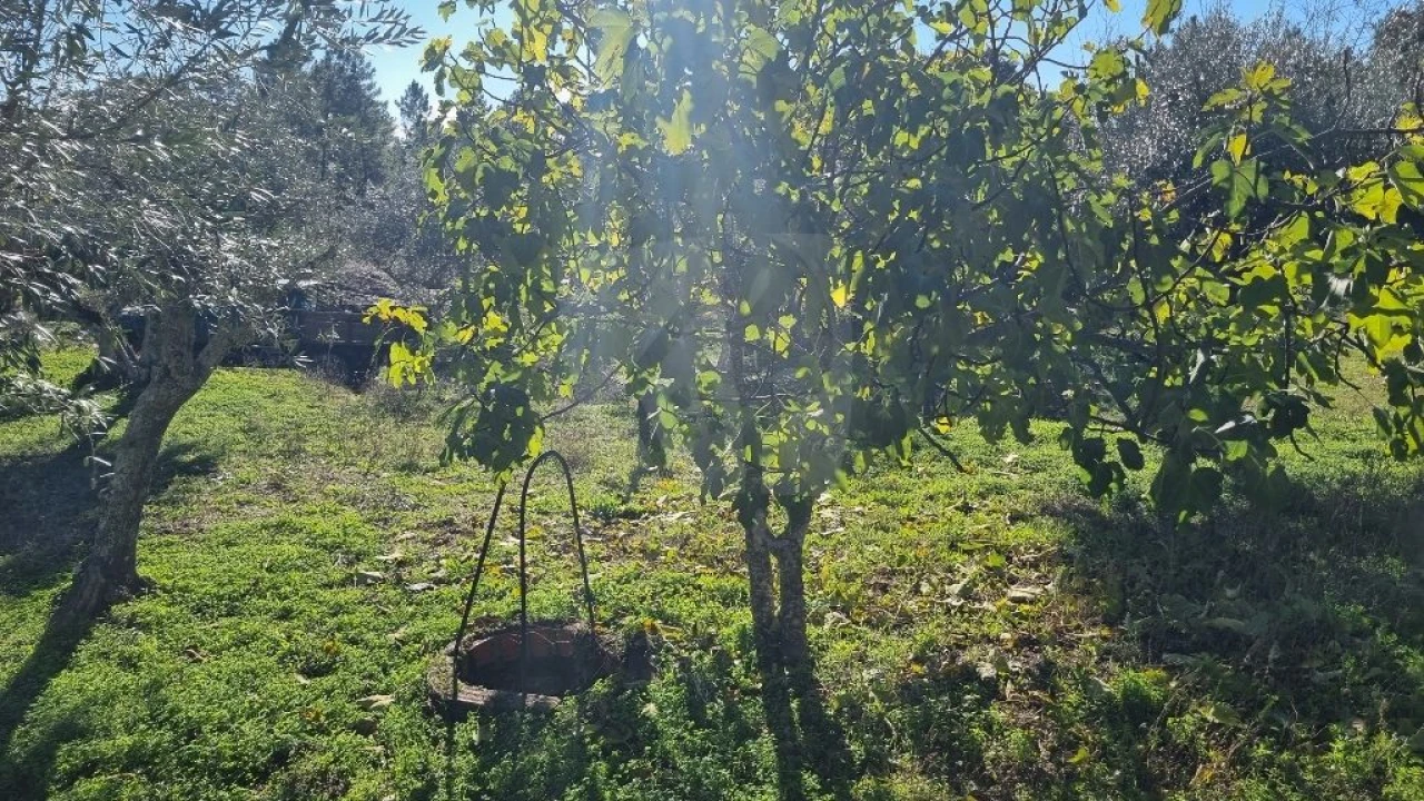 Quinta T4 para Venda em Santo Andre das Tojeiras Foto 40