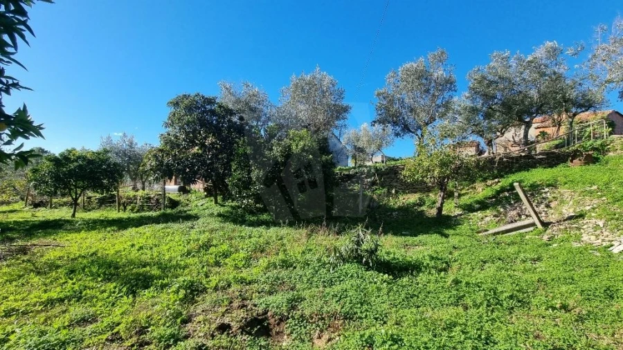 Quinta T4 para Venda em Santo Andre das Tojeiras Foto 44