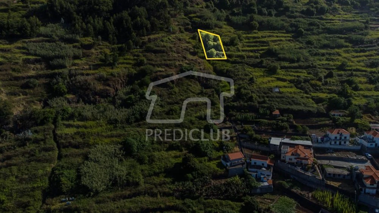 Terreno para Venda em Arco da Calheta Foto 6