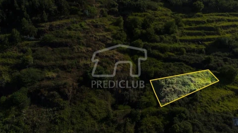 Terreno para Venda em Arco da Calheta