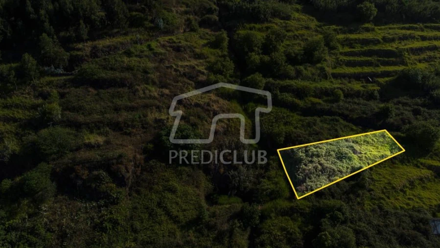 Terreno para Venda em Arco da Calheta Foto 2