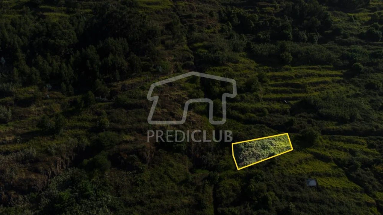 Terreno para Venda em Arco da Calheta Foto 3