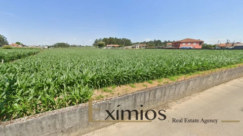 Terreno para Venda em Balazar
