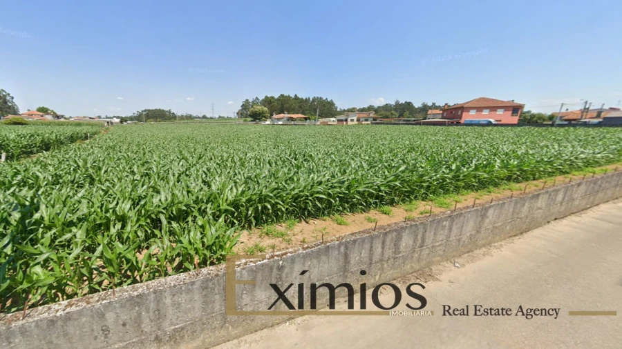 Terreno para Venda em Balazar