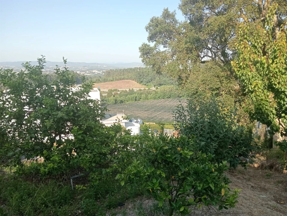 Terreno para Venda em Pedroso e Seixezelo Foto 19