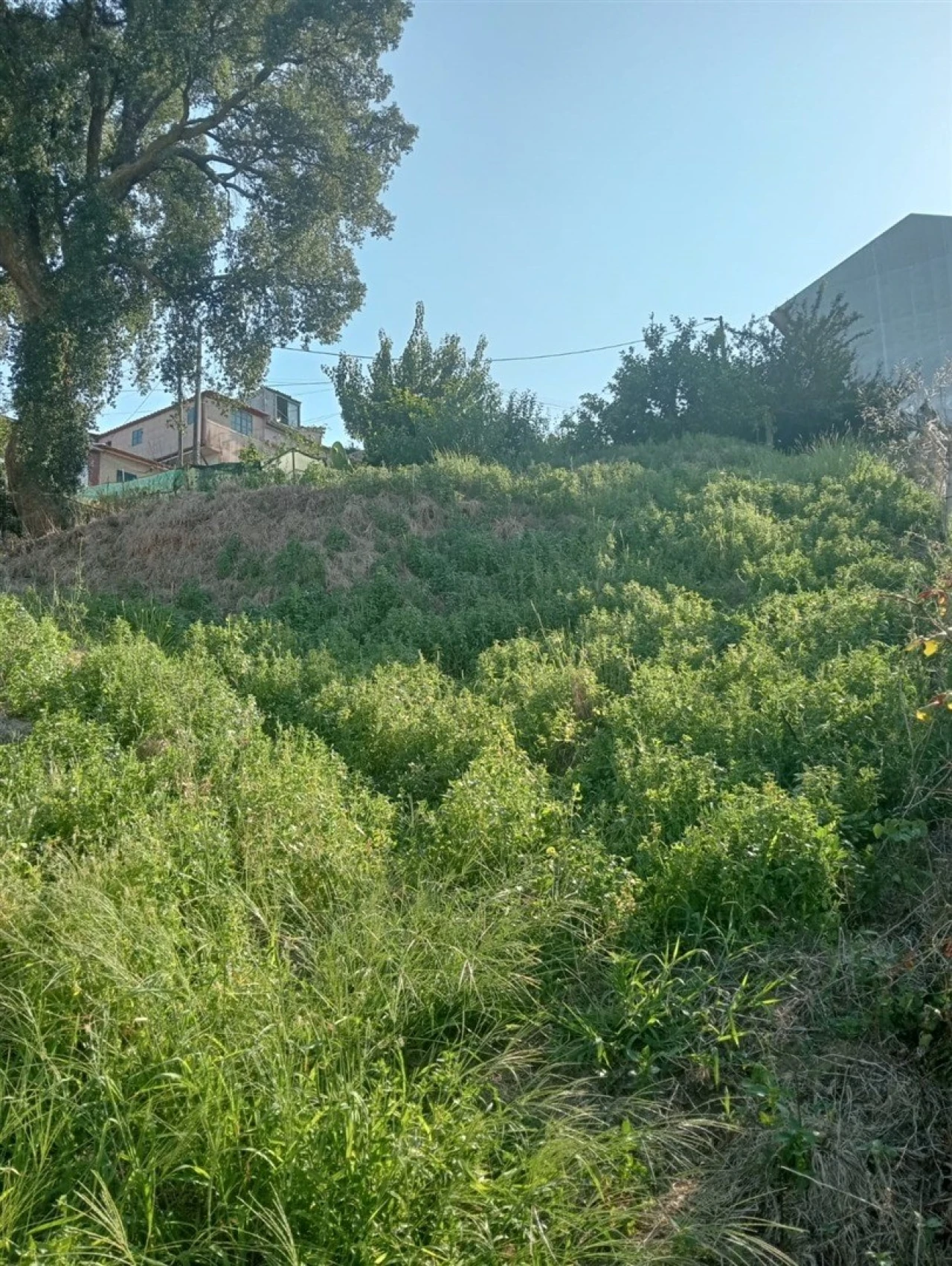 Terreno para Venda em Pedroso e Seixezelo Foto 22