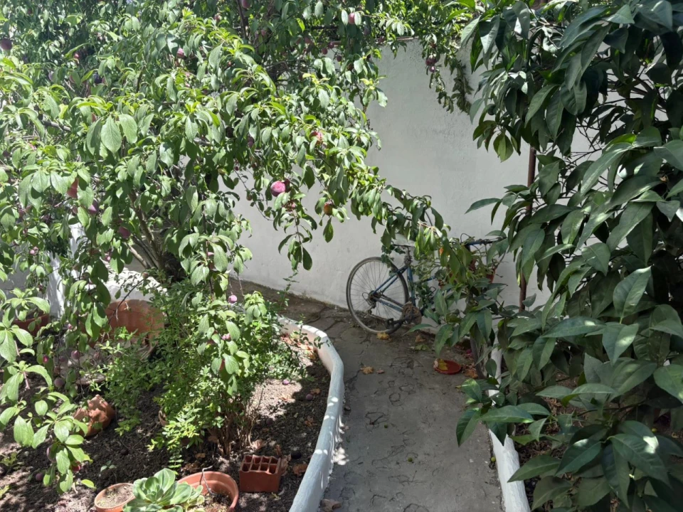 Moradia T4 para Venda em Assunção, Ajuda, Salvador e Santo Ildefonso Foto 9