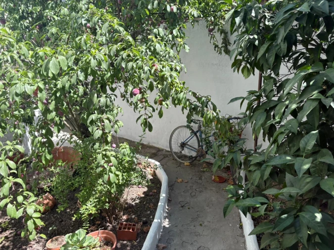 Moradia T4 para Venda em Assunção, Ajuda, Salvador e Santo Ildefonso Foto 9