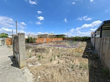 Terreno para Venda em Marinhais