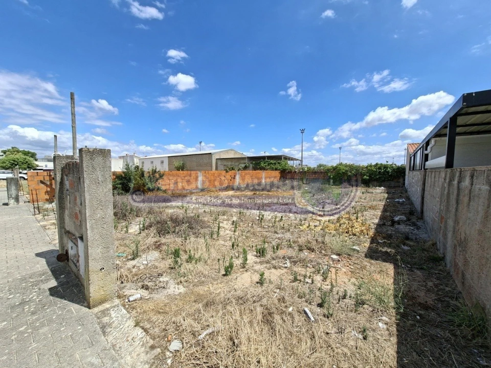 Terreno para Venda em Marinhais Foto 1
