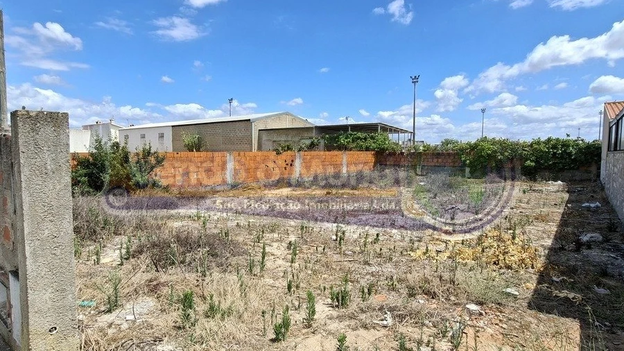 Terreno para Venda em Marinhais