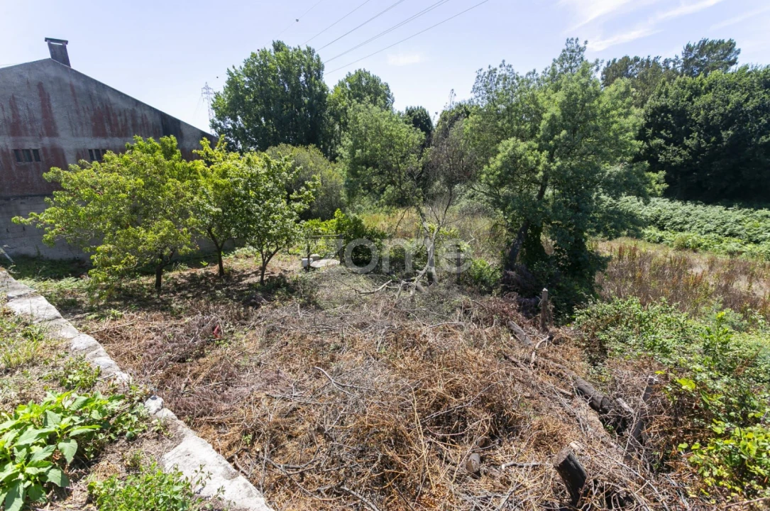 Terreno para Venda em Matosinhos e Leça da Palmeira Foto 7
