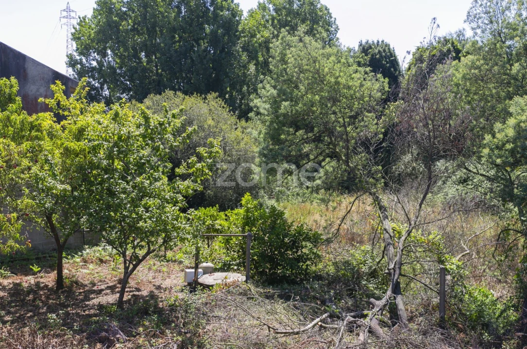 Terreno para Venda em Matosinhos e Leça da Palmeira Foto 8