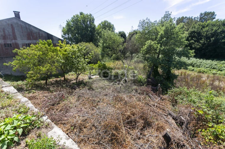 Terreno para Venda em Matosinhos e Leça da Palmeira Foto 7