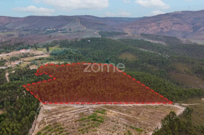 Terreno para Venda em Melres e Medas