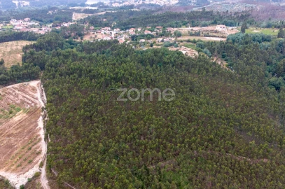 Terreno para Venda em Melres e Medas