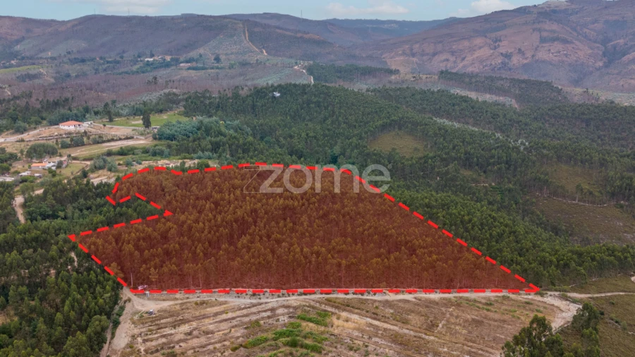 Terreno para Venda em Melres e Medas