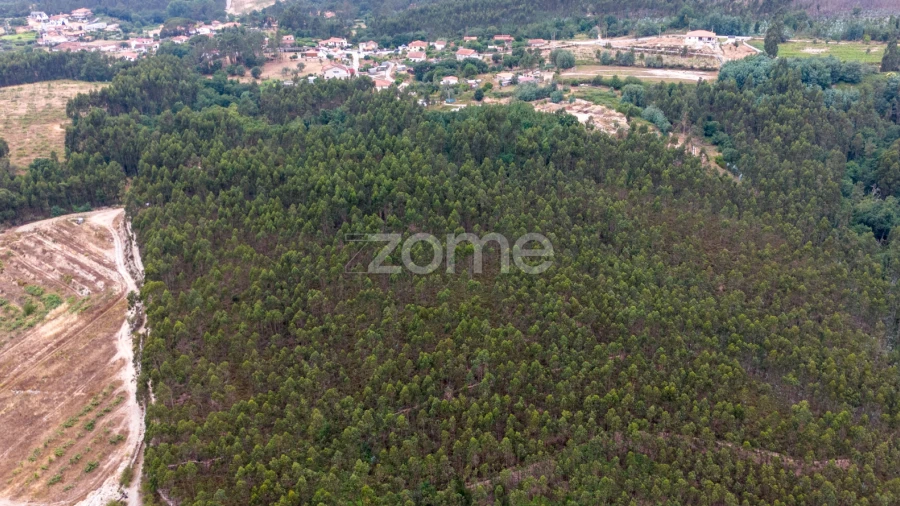 Terreno para Venda em Melres e Medas