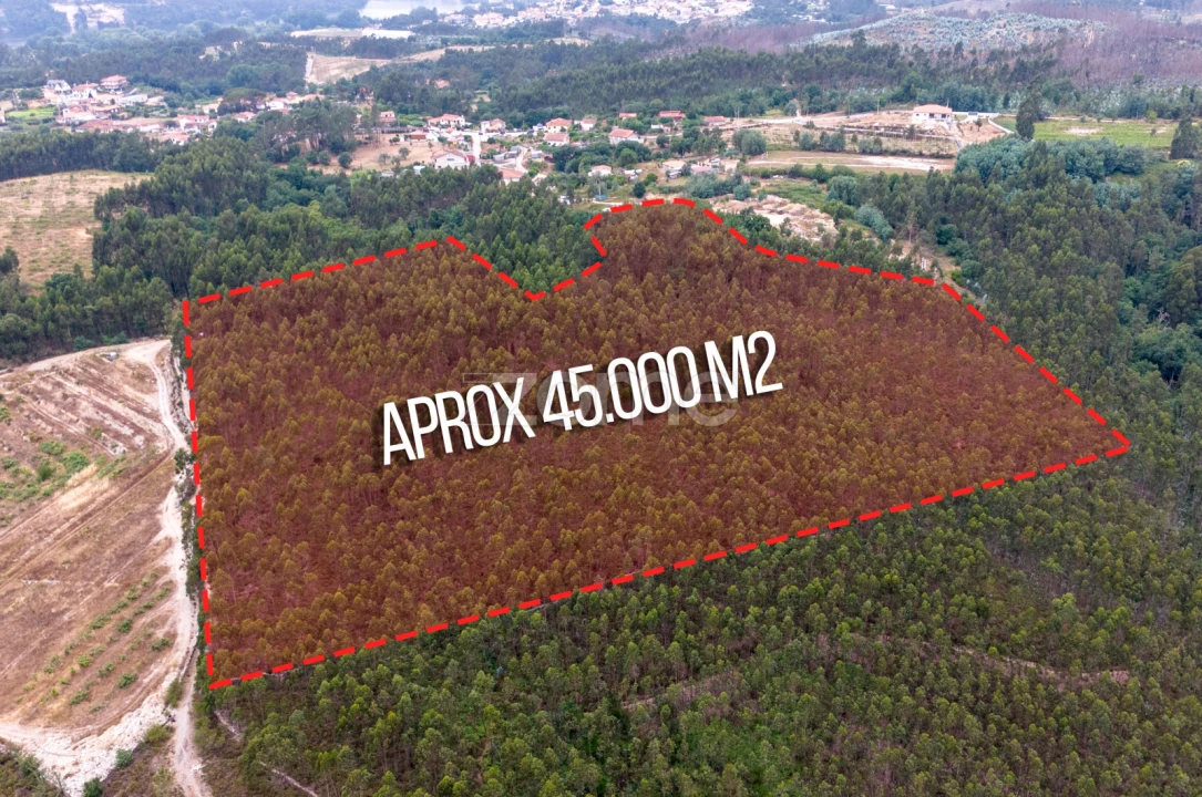 Terreno para Venda em Melres e Medas Foto 7