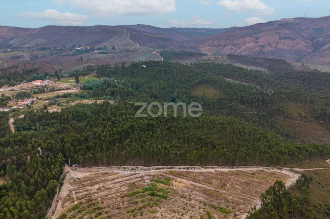 Terreno para Venda em Melres e Medas Foto 3