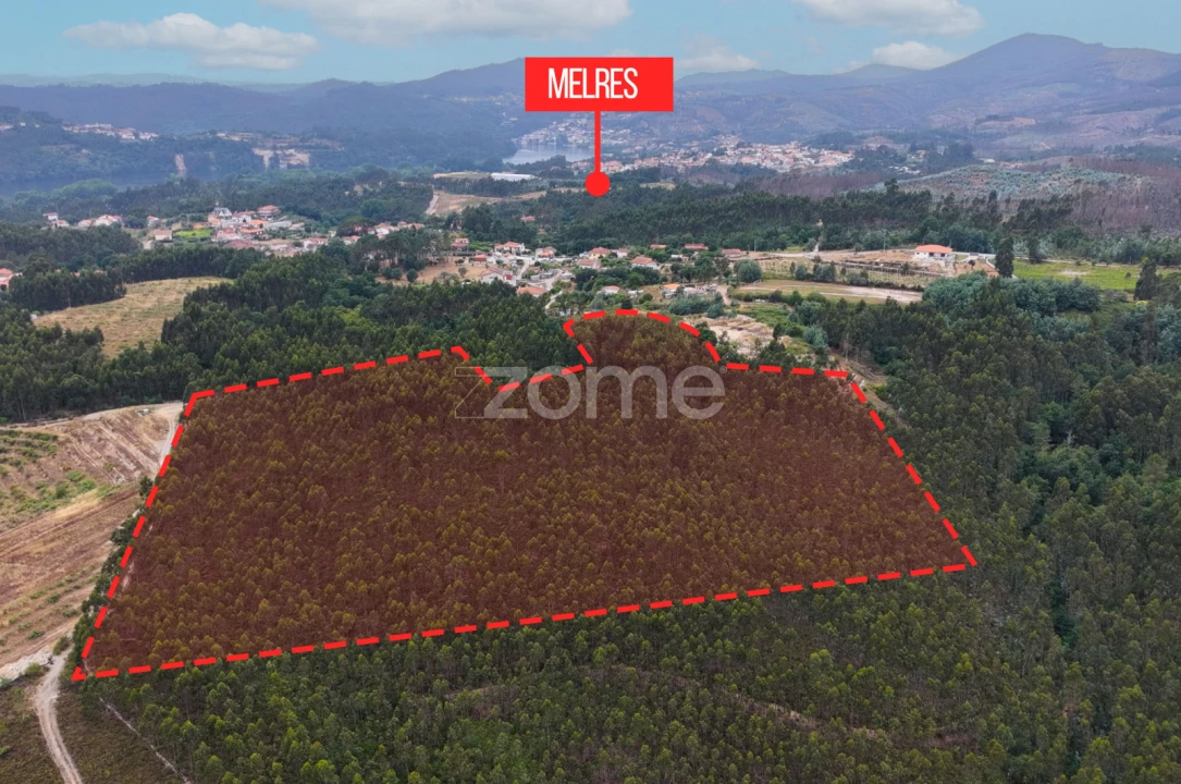 Terreno para Venda em Melres e Medas Foto 8