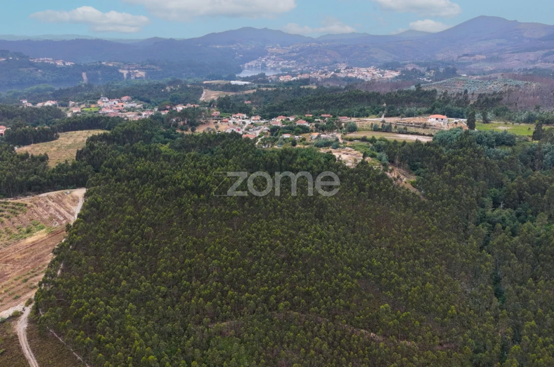 Terreno para Venda em Melres e Medas Foto 5