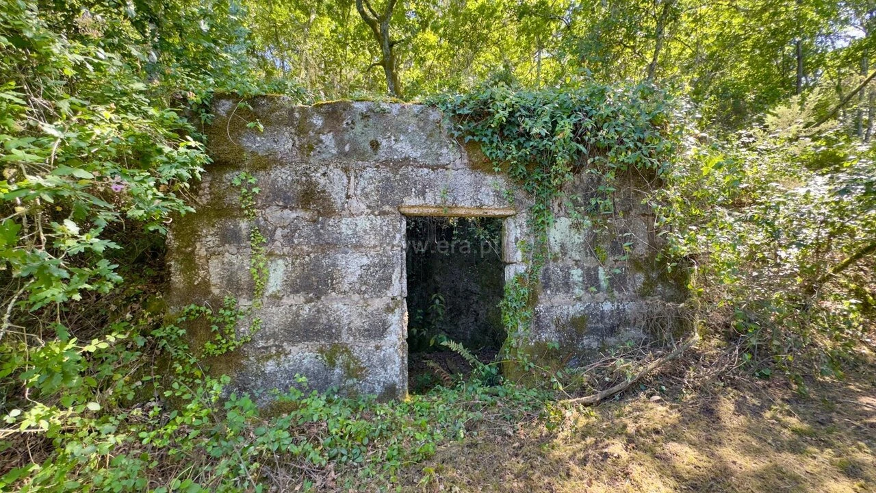 Quinta T3 para Venda em Várzea, Aliviada e Folhada Foto 13