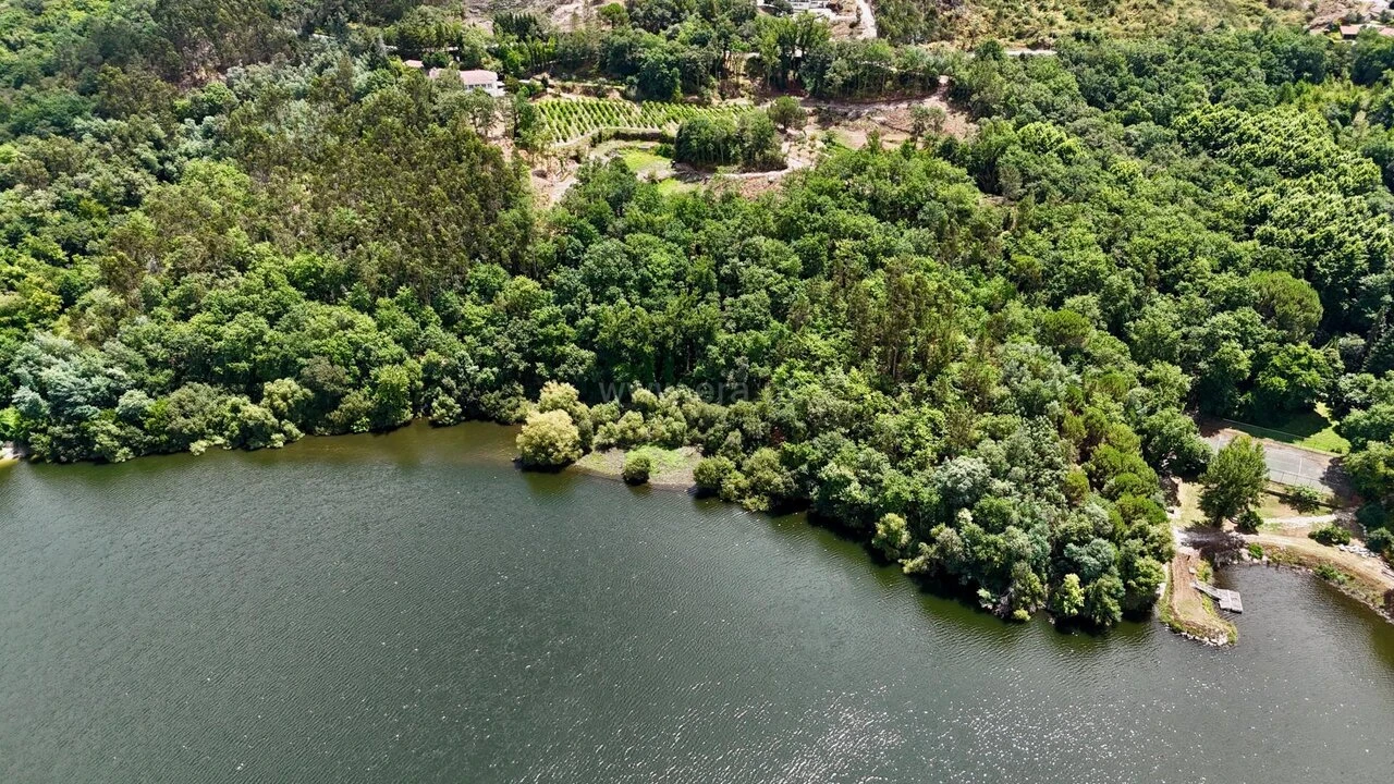 Quinta T3 para Venda em Várzea, Aliviada e Folhada Foto 11
