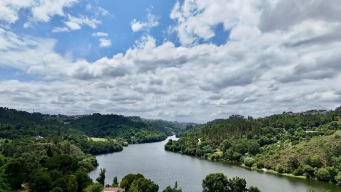 Quinta T3 para Venda em Várzea, Aliviada e Folhada