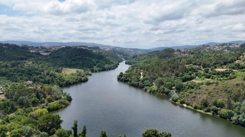 Quinta T3 para Venda em Várzea, Aliviada e Folhada