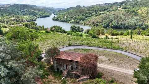 Quinta T3 para Venda em Várzea, Aliviada e Folhada