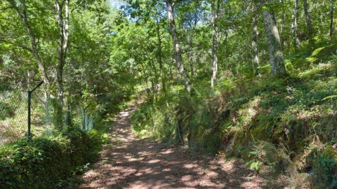 Quinta T3 para Venda em Várzea, Aliviada e Folhada