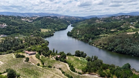 Quinta T3 para Venda em Várzea, Aliviada e Folhada