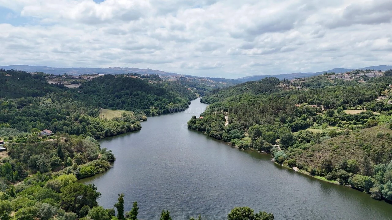 Quinta T3 para Venda em Várzea, Aliviada e Folhada Foto 3