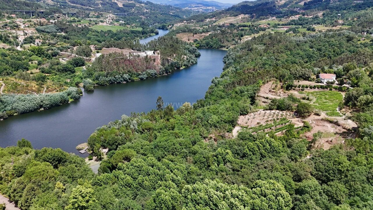 Quinta T3 para Venda em Várzea, Aliviada e Folhada Foto 12