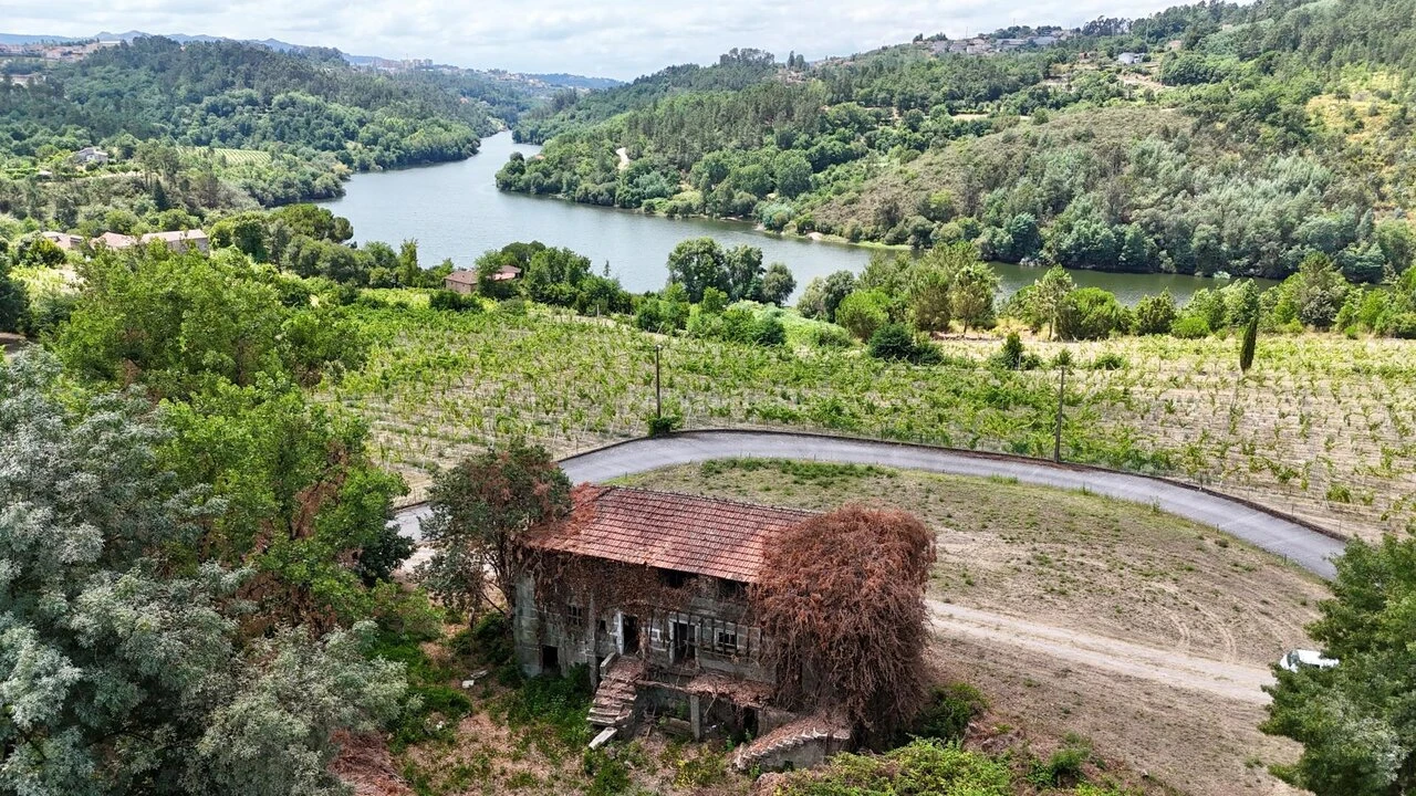 Quinta T3 para Venda em Várzea, Aliviada e Folhada Foto 5
