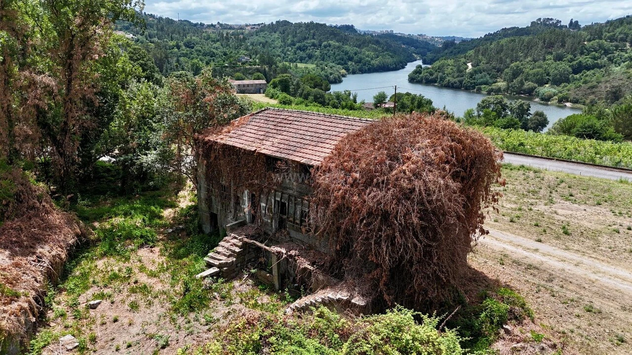 Quinta T3 para Venda em Várzea, Aliviada e Folhada Foto 16