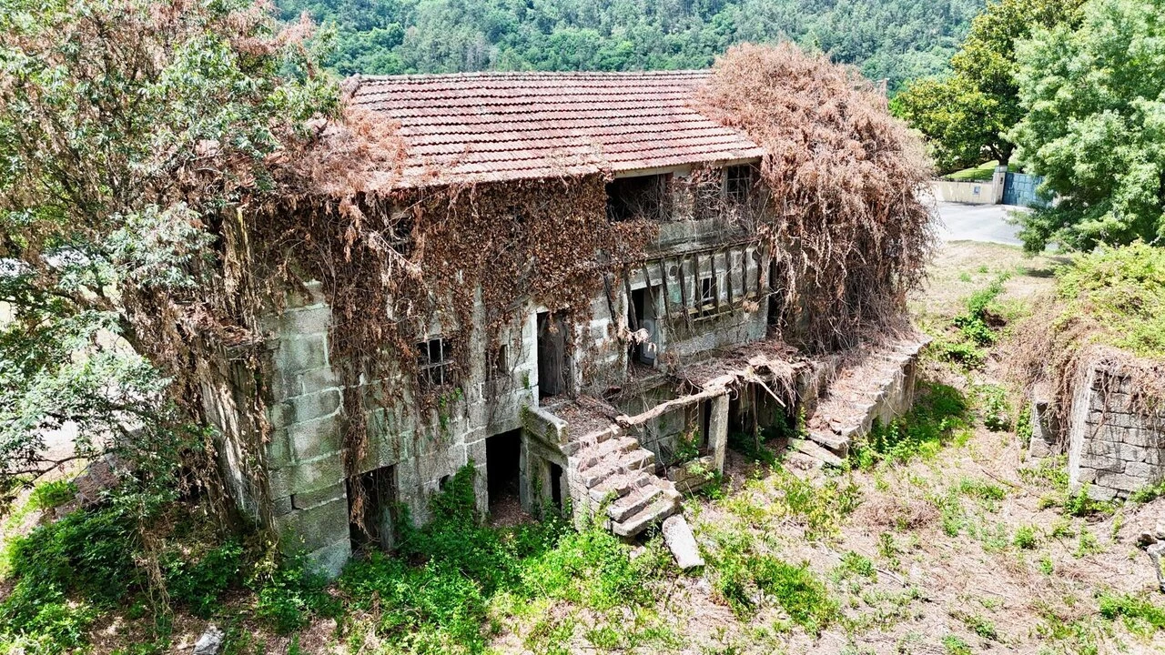 Quinta T3 para Venda em Várzea, Aliviada e Folhada Foto 17