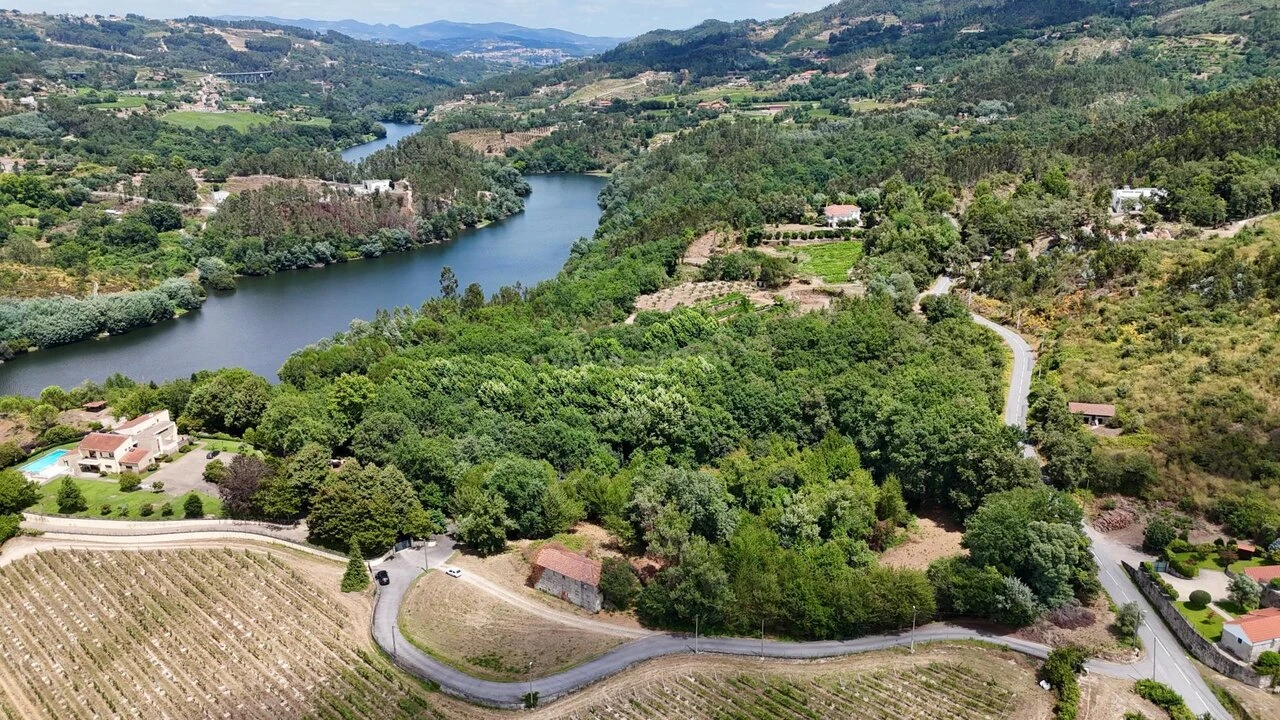 Quinta T3 para Venda em Várzea, Aliviada e Folhada Foto 1
