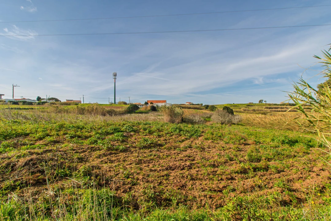 Terreno para Venda em Ericeira Foto 2