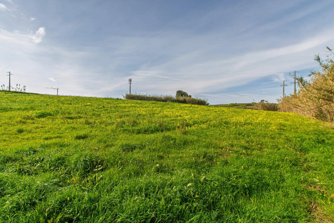 Terreno para Venda em Ericeira Foto 5