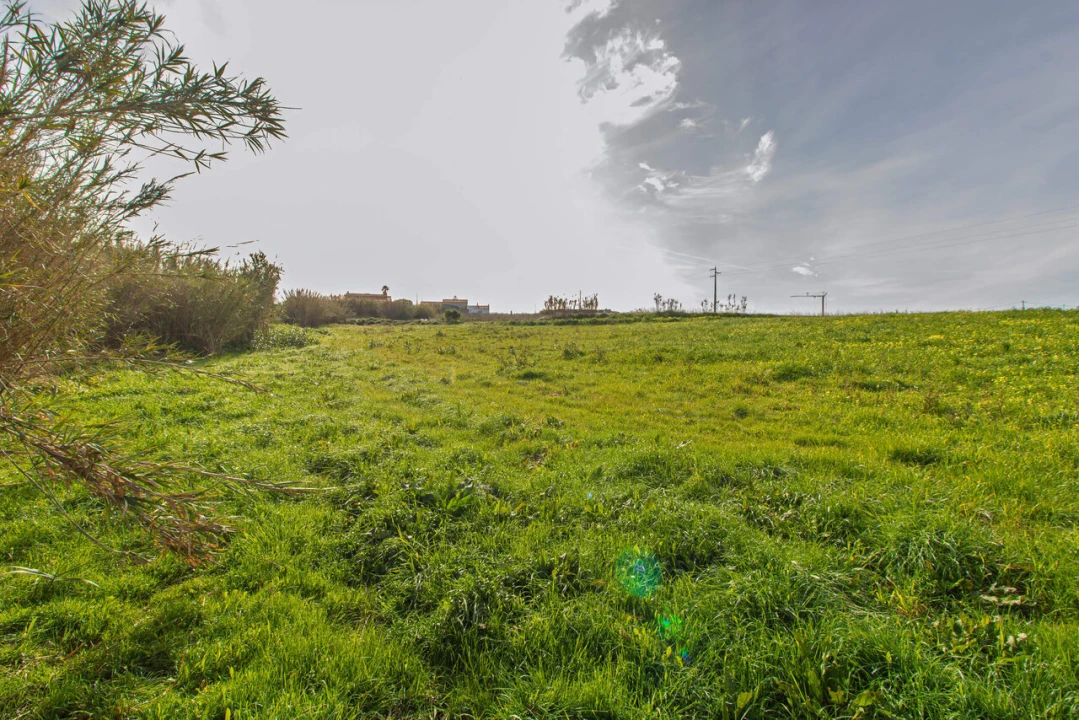 Terreno para Venda em Ericeira Foto 7